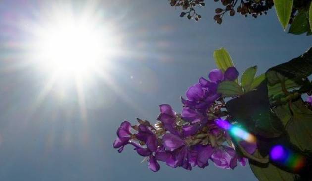 Ms Tem Previs O De Altas Temperaturas E Baixa Umidade Durante A Semana